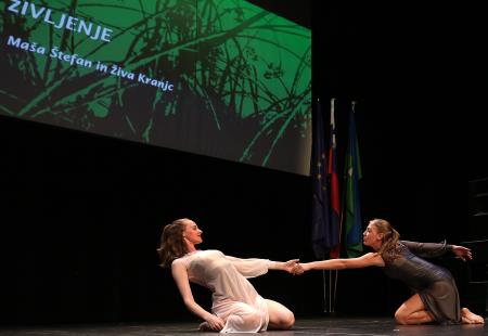 ZLATA PETICA 09 FOTO LJUBO VUKELIČ